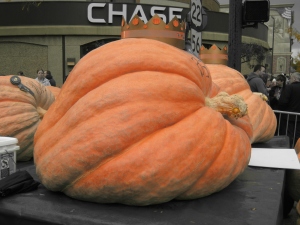 The BIGGEST pumpkin of all
